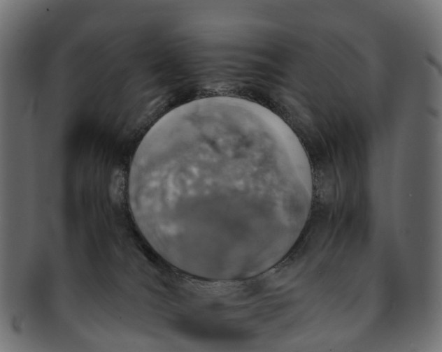 X0000091550036200709071227