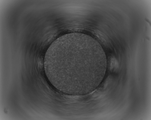 X0000091550040200709071226