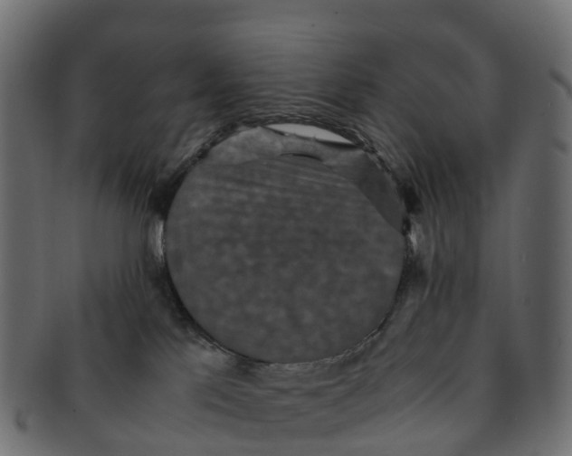 X0000091550041200709071226