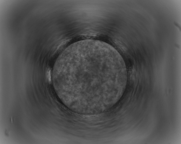 X0000091550042200709071226