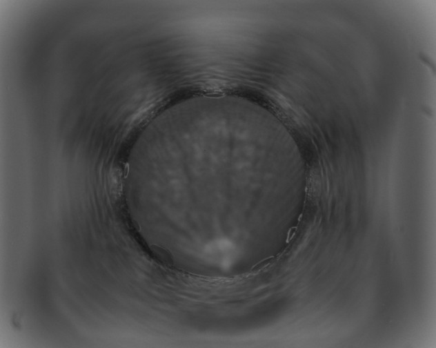 X0000091550043200709071226