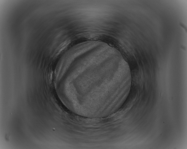 X0000091550044200709071226