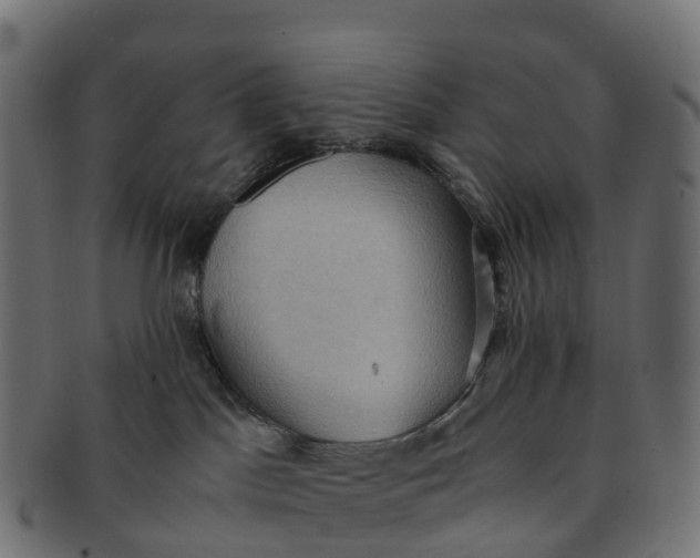 X0000091550045200709071226