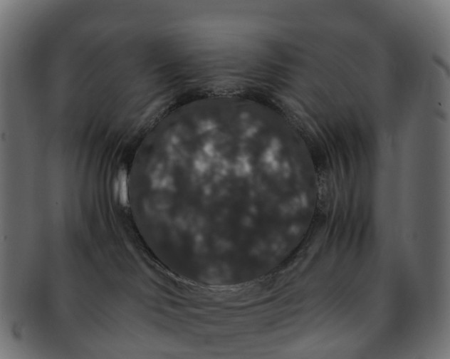 X0000091550046200709071226