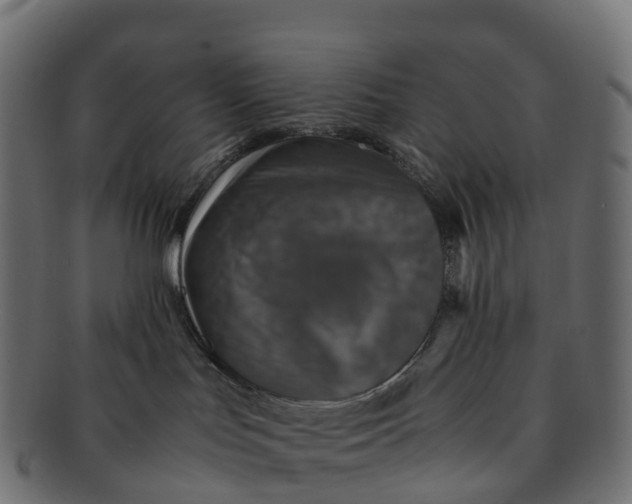 X0000091550047200709071226