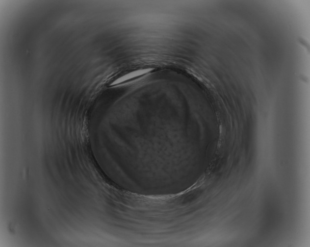 X0000091550048200709071226