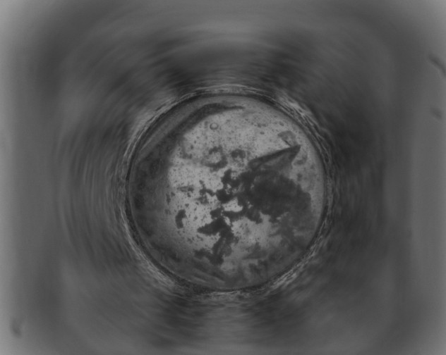 X0000091550049200709071226