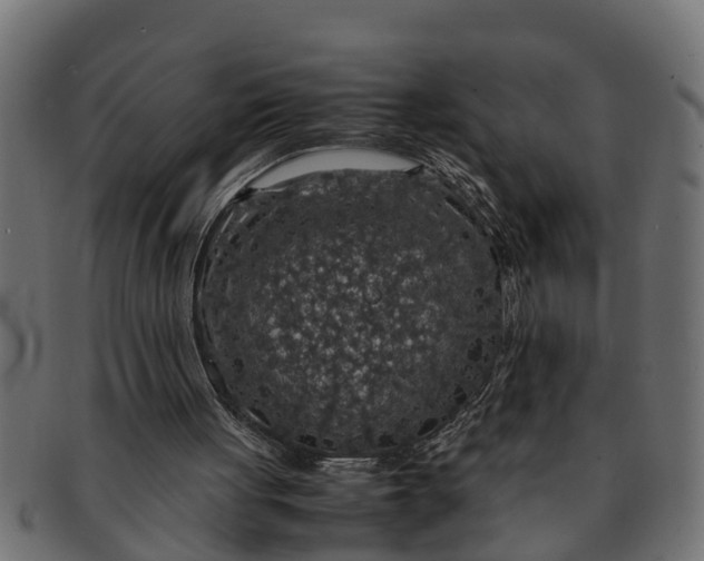 X0000091550051200709071226