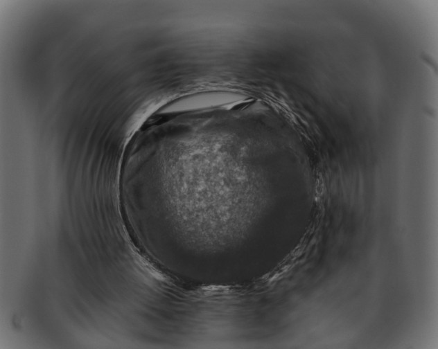 X0000091550052200709071226