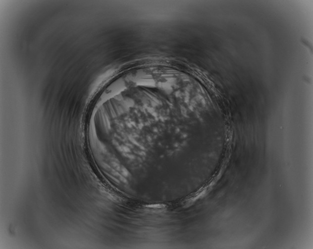 X0000091550053200709071226