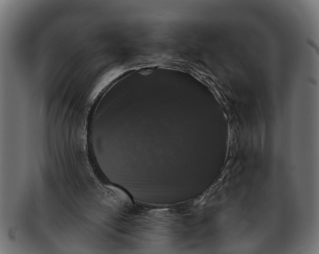 X0000091550054200709071226