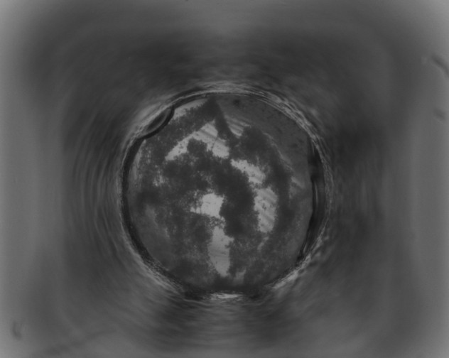 X0000091550055200709071226