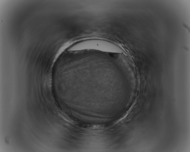 X0000091550056200709071226