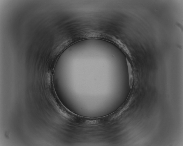 X0000091550057200709071226