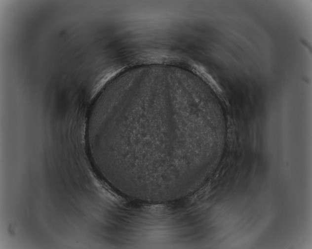 X0000091550058200709071226