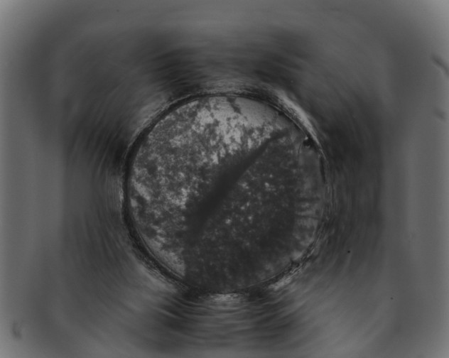 X0000091550059200709071226