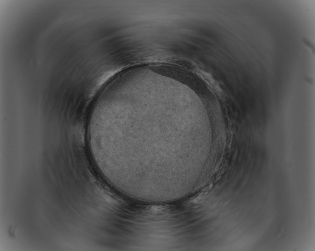 X0000091550060200709071226