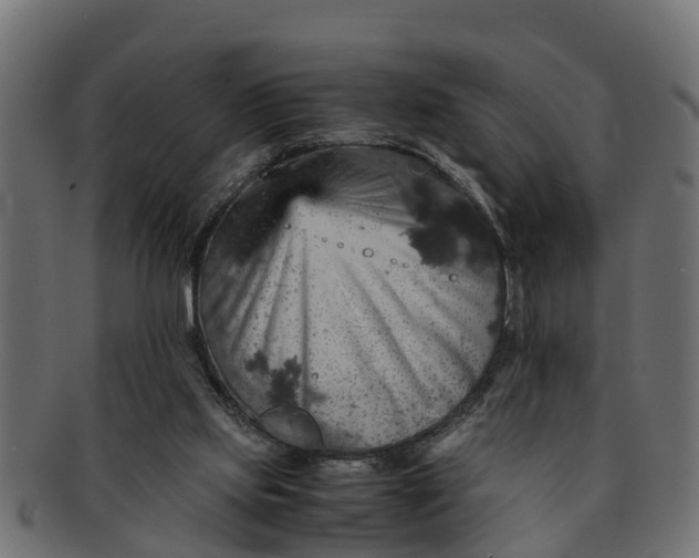 X0000091550061200709071226