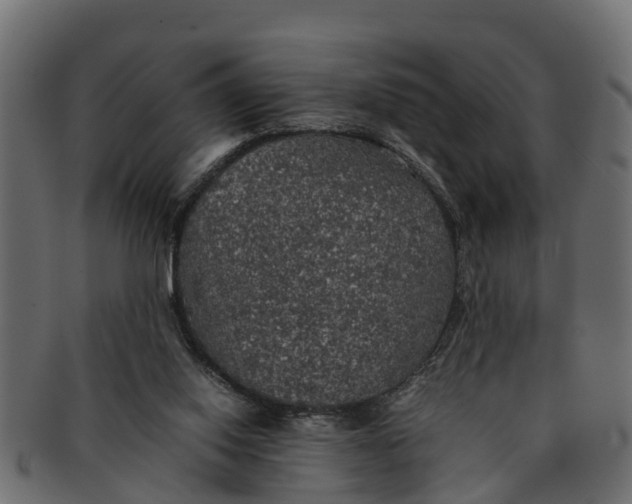 X0000091550062200709071226