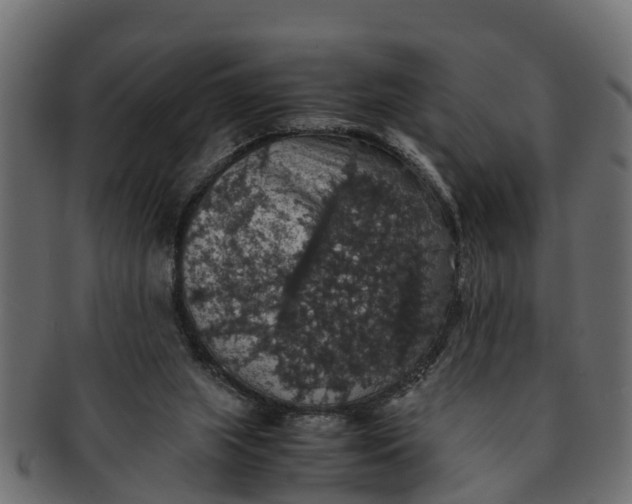 X0000091550063200709071226