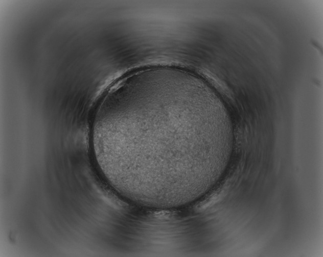 X0000091550064200709071226