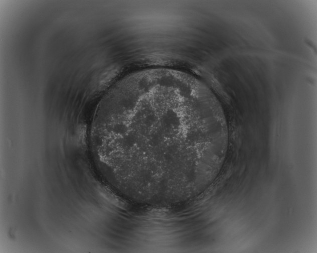 X0000091550066200709071226