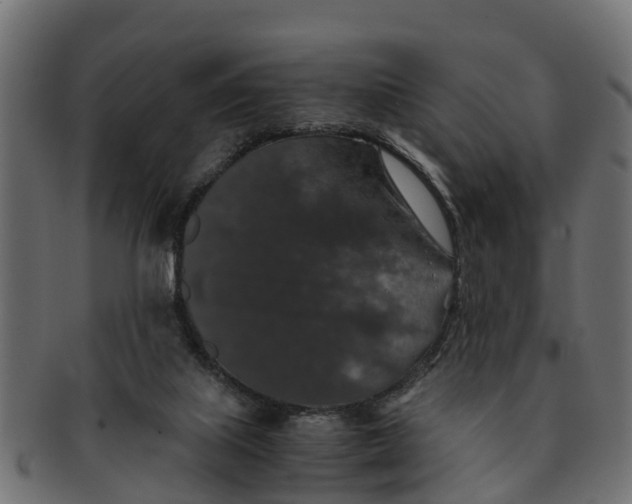 X0000091550067200709071226