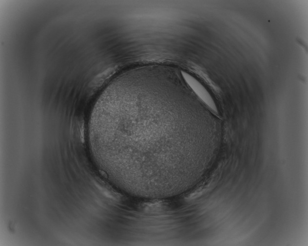 X0000091550068200709071226