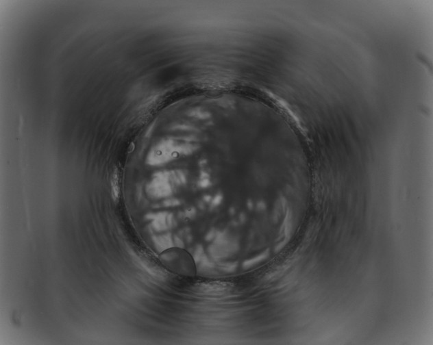 X0000091550069200709071226