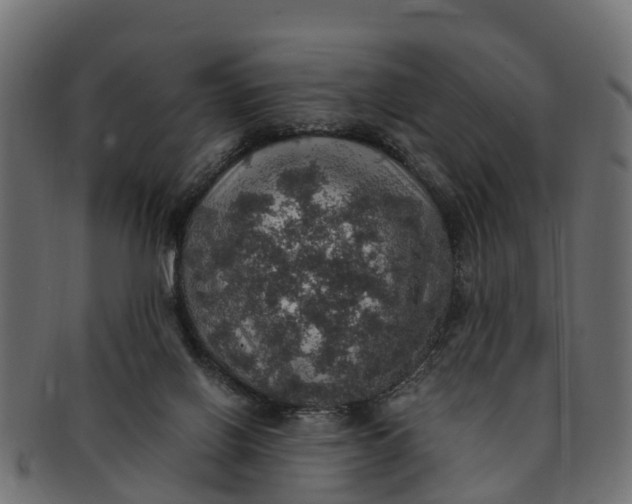 X0000091550070200709071226