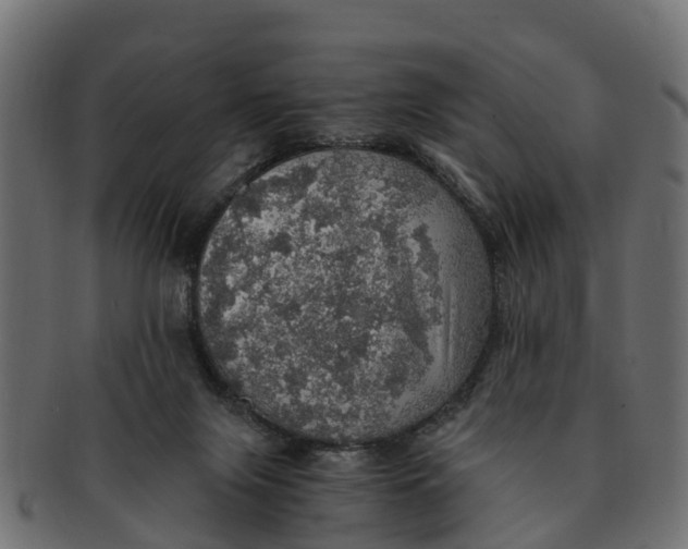 X0000091550071200709071226