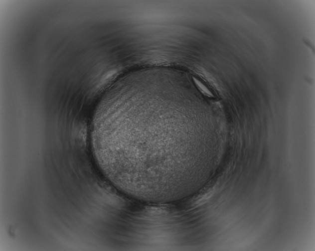 X0000091550072200709071226