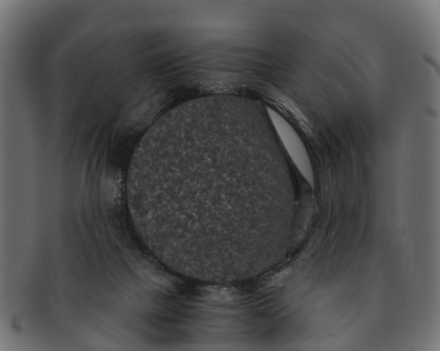 X0000091550073200709071226