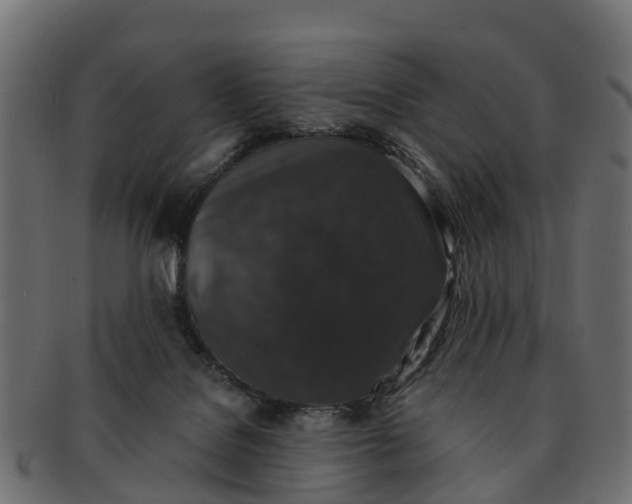 X0000091550076200709071226