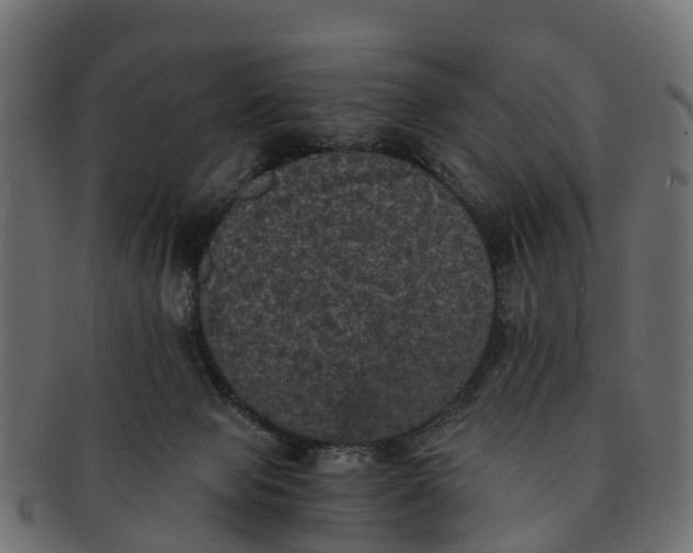 X0000091550077200709071226