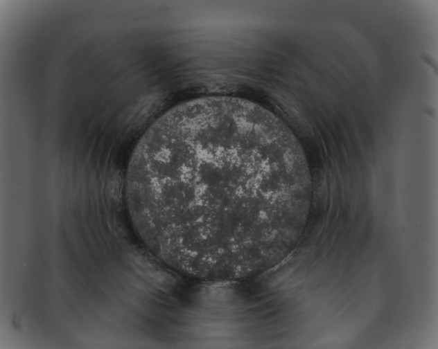 X0000091550078200709071226