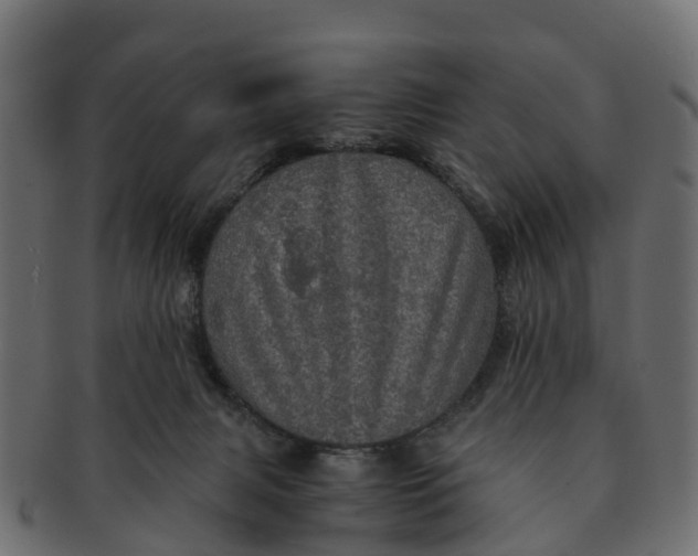 X0000091550079200709071226