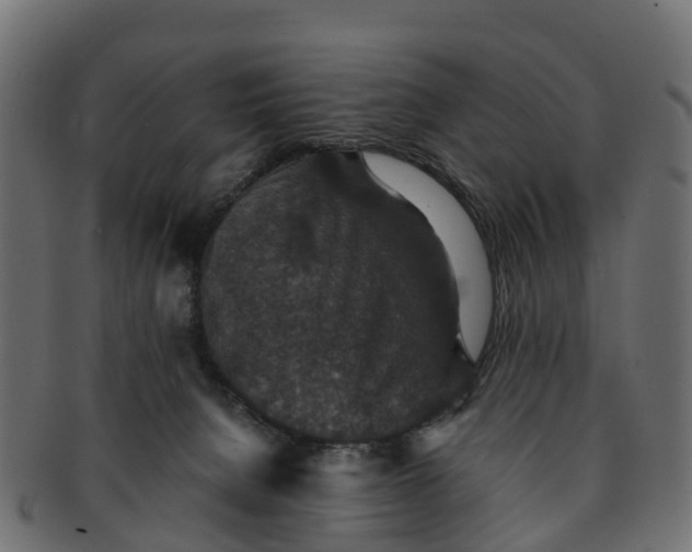 X0000091550080200709071226