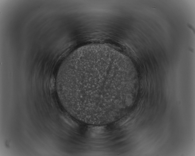 X0000091550081200709071226