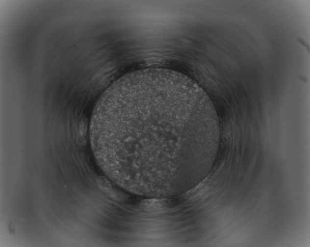 X0000091550082200709071226