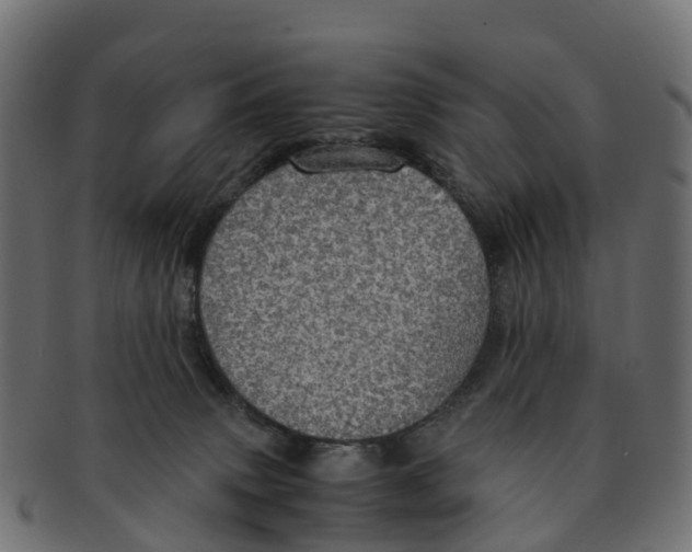 X0000091550083200709071226