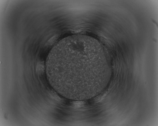 X0000091550085200709071226