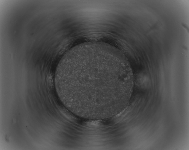 X0000091550086200709071226