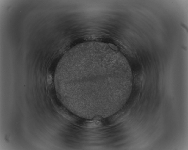 X0000091550087200709071226