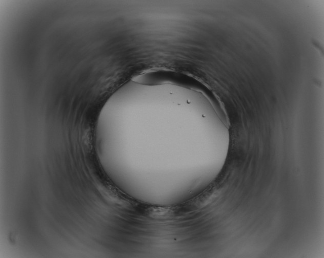 X0000091550088200709071226