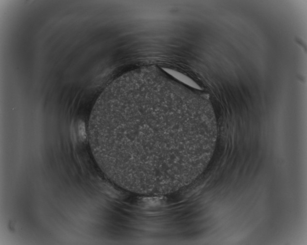 X0000091550089200709071226