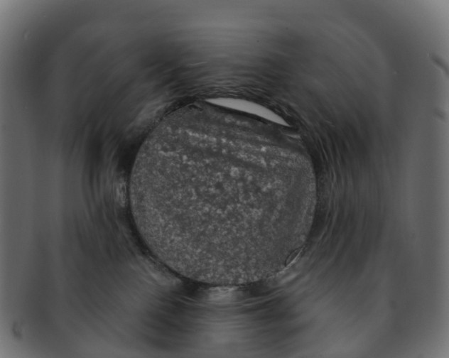 X0000091550090200709071226