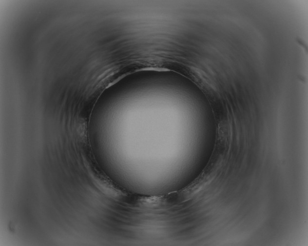 X0000091550092200709071226