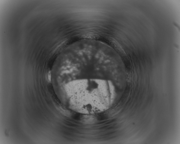 X0000091550095200709071226