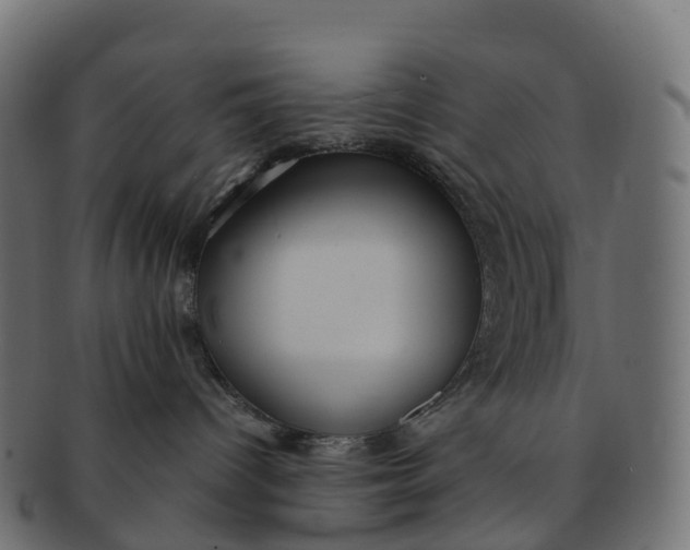 X0000091550096200709071226